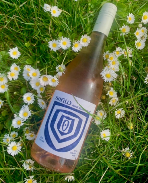 Bottle of Pinot Meunier Rosé lying in a bed of daisy flowers.